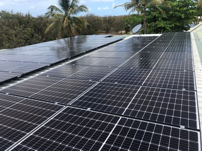 Close view of black-framed solar panels on a roof surrounded by palm trees